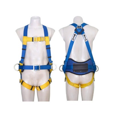 Protecta full body harness